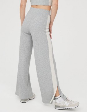 Aerie OFFLINE By Thumbs Up Heavyweight Ribbed Wide Leg Pants Grey | TKV-196045