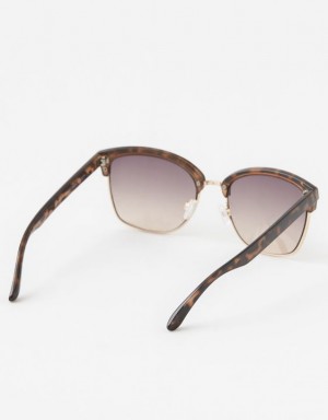 Aerie Squared Away Sunglasses Leopard | SHT-438567