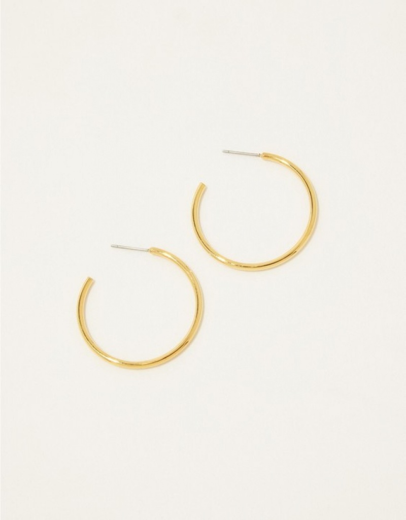 Aerie Demi Fine Large Hoop Jewelry Gold | OHE-271356