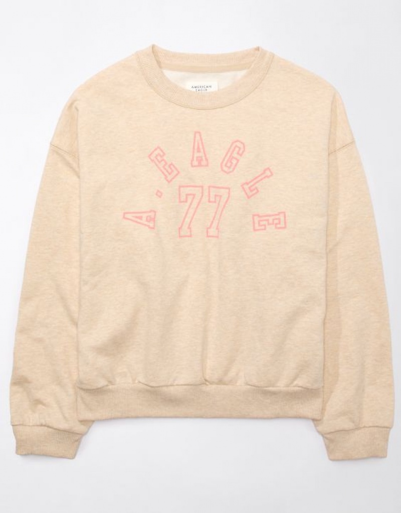 Aerie Funday Graphic Sweatshirts Brown | WDK-236179