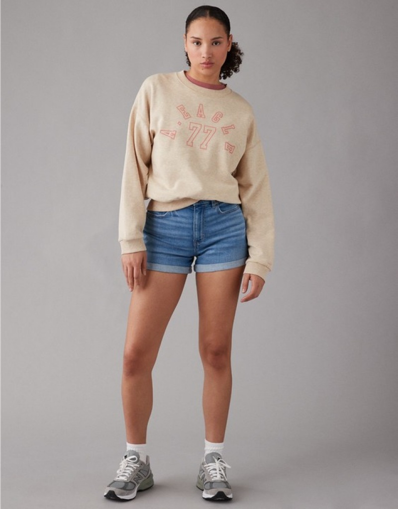 Aerie Funday Graphic Sweatshirts Brown | WDK-236179