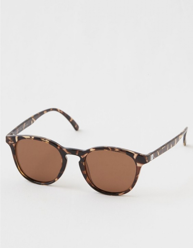 Aerie Sunski Yuba Tortoise Amber Sunglasses Brown | SLX-329654