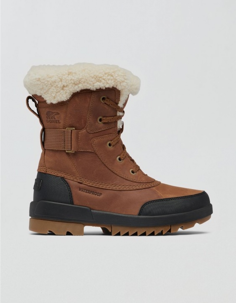 Aerie Tivoli™ IV Boots Brown | RMJ-580371