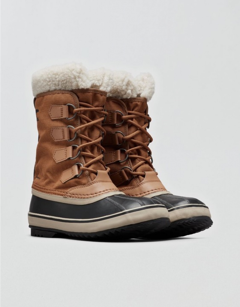 Aerie Winter Carnival™ Boots Brown | PAU-623580